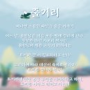토끼와 자라 | 대전 극단 오즈 &lt;토끼와 자라&gt; 후기!!