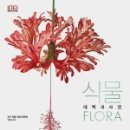 꽃과 식물그림 보타니컬 아트 이미지