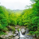 타임9002 이미지