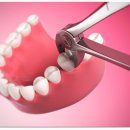 수원-1370 이미지