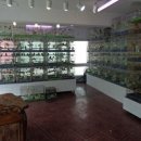 행복조류사 이미지