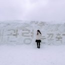 평창(강릉) | 2025 대관령 눈꽃축제 후기 실시간 평창 강릉 날씨 강원도 겨울 여행