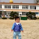 영천남부초등학교 이미지