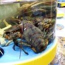 반한수산 이미지