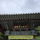 제903차(2025.9.4.목)정기 산행/경북 포항시 청라면 내연산+천령산(우척봉) 선택 코스 앨범 이미지