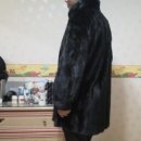 로얄사