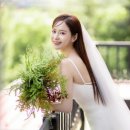 전주스토리