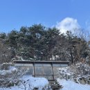 강원도 원주 카페 추천 : 사계절 감성카페 숲 속의 북카페 내돈내산 솔직후기