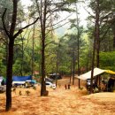 거기농장 이미지