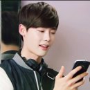 코코댄디