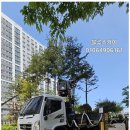 블루스카이 이미지