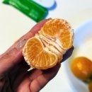 유락농장 이미지