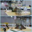 대구 꽃박람회~~ 이미지