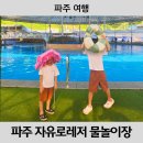 자유로 레저 | [파주 여행] 서울 근교 물놀이장 파주 자유로레저 수영장 취사 가능 물놀이장