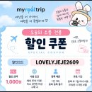 메트로폴리탄 2 | 뉴욕 메트로폴리탄 도슨트 한국어 투어 시간 후기 총정리