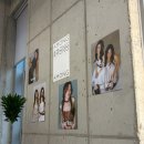 강남미용실 | 강남 신논현 미용실 클리닉 후기, 손상모라면 어몽헤어 퀜치 추천해요