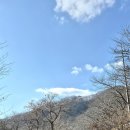 양대박전승지 이미지