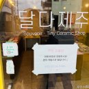 달다제주 소품샵 네이버블로그