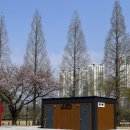 안산천1 | 안산 벚꽃, 호수공원&amp;안산천 벚꽃 실시간 개화 현황 (2026.04.05 기준)