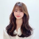 다솜헤어 - 창원시 마산회원구 | 다솜헤어