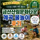 나눔문화연구소 | 금산산림문화타운 후기｜아이와 계곡 물놀이 다녀온 솔직 리뷰 (구 남이자연휴양림)
