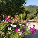 CU(양주오봉산점) 이미지