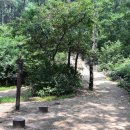 인천대공원(거수골) 이미지