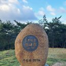 보성농장 Daum카페