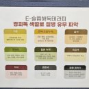 더;예쁜날 이미지