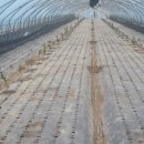 장순농장 이미지