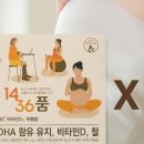 마이필