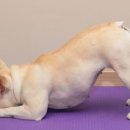 (주) 한반독 이미지