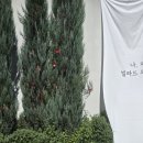 구천동농협 하나로마트 본점 이미지