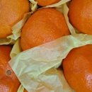 수산농장 이미지