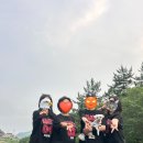 남해-106 | 남해 애견펜션 돌담과초록｜가족 모두가 행복했던 1박 2일🐶🌿