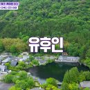 우미노 - 중구 동덕로 123-28 | 우미노