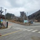 인제14-2 | 강원도 인제 자작나무숲 / 주차, 등산코스 총정리