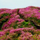 바래봉식품 Daum카페