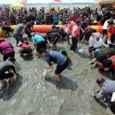 강진허브 이미지