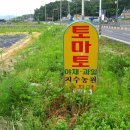 지수농원 Daum카페