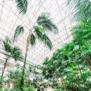 서울고등법원 | 후기 | 서울중앙지법예식장 | 서울고등법원웨딩홀 | 법원결혼식스냅 | 서울고법결혼식 | 서울중앙지방...