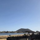 하도살이 이미지