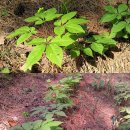 석암농장 이미지