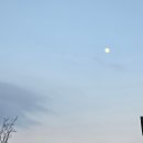 미스터추추(주) | 241125~1231 기록