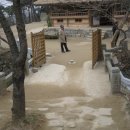 은은한 선 Daum카페