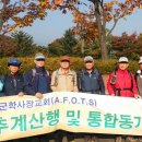 박연식농장 Daum카페