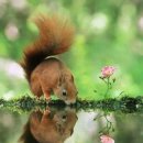 행복을 찾아서 이미지