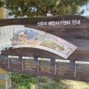 신두리 | 태안 아이랑 갈만한곳 추천 _ 신두리사구센터 후기 (매우 강력 추천!!)