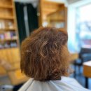 11번가 헤어살롱 이미지