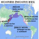 독도바다